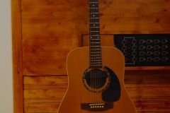 IMGP4350