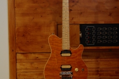 IMGP4355