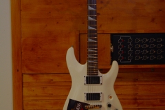 IMGP4358