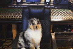 17017092_10154620115509087_2864744610060685434_o