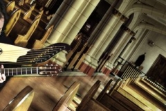 cropped-DSC_3050_1_2_tonemapped